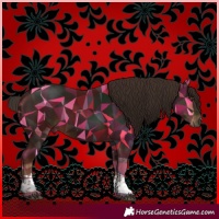 Horse Color:Liver Chestnut Tobiano 