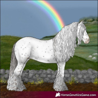 Horse Color:Liver Chestnut Sabino