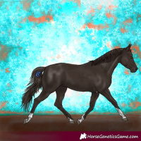 Horse Color:Liver Chestnut Tobiano 