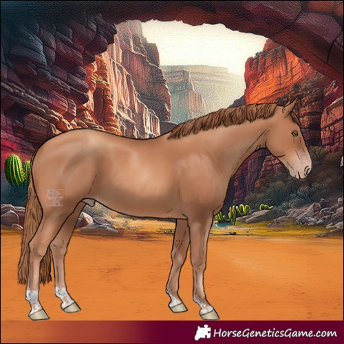 Horse Color:Gold Champagne Tobiano 