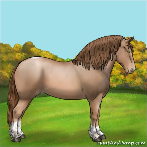 Horse Color:Liver Chestnut Pearl Tobiano