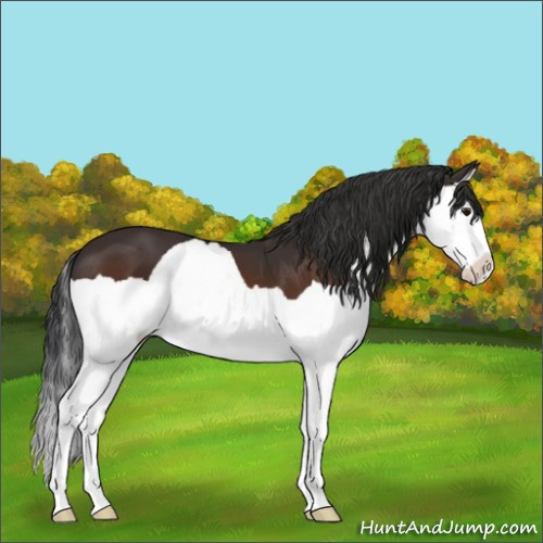 Horse Color:Brown Splash