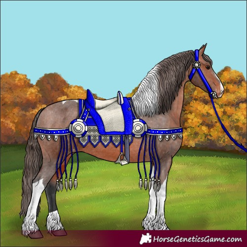 Horse Color:Bay Sabino Tobiano Appaloosa 