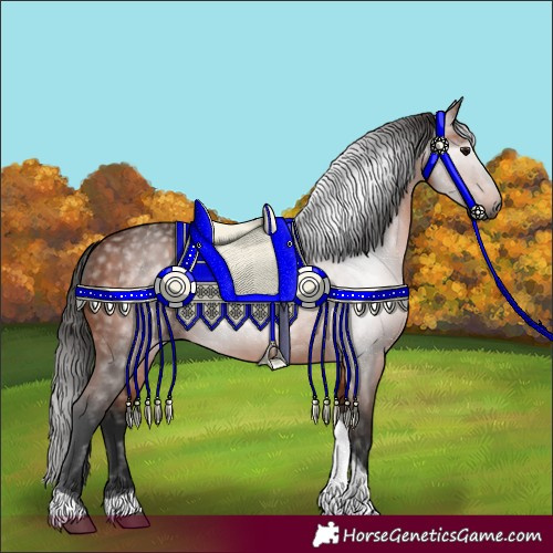 Horse Color:Gray Bay Tobiano 