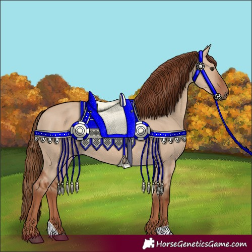 Horse Color:Red Dun 