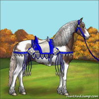 Horse Color:Silver Black Tobiano Frame Rabicano 
