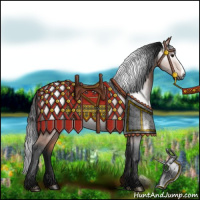 Horse Color:Gray Bay 