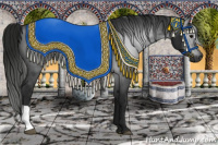 Horse Color:Gray Black 