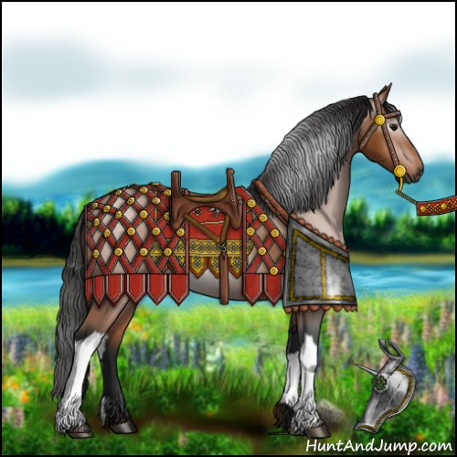 Horse Color:Gray Bay 