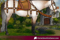 Horse Color:Gray Bay Dun 
