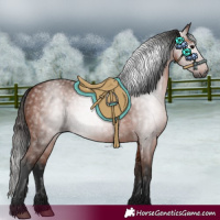 Horse Color:Gray Bay