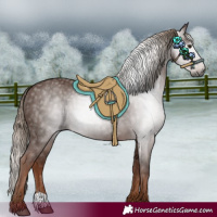 Horse Color:Gray Chestnut 
