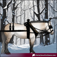 Horse Color:Gray Bay Dun 