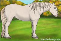 Horse Color:Smoky Creme 
