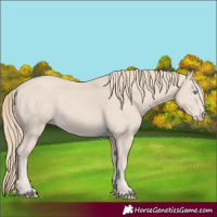 Horse Color:Smoky Creme 