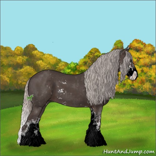 Horse Color:Silver Black Sabino Splash