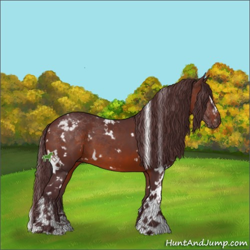 Horse Color:White Spotted Chocolate Brown Sabino 