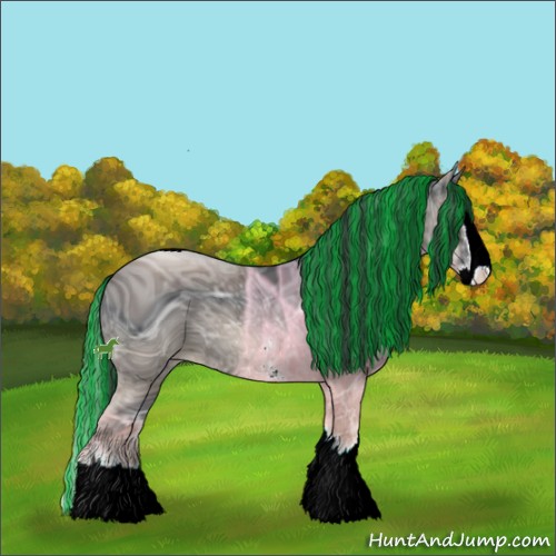 Horse Color:ERROR: UNKNOWN ANOMALY