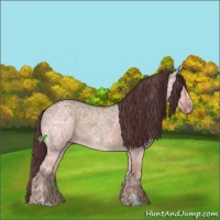 Horse Color:Chocolate Brown Ice Dun Sabino