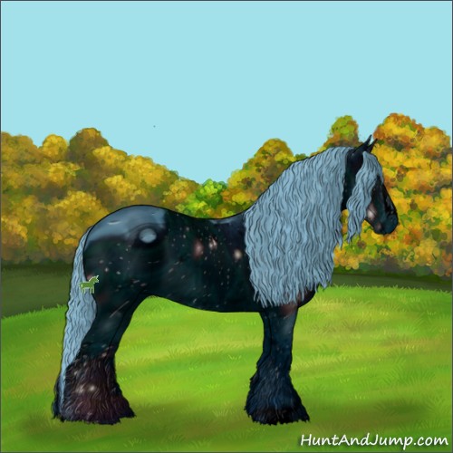 Horse Color:ERROR: UNKNOWN ANOMALY