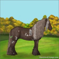 Horse Color:White Spotted Liver Chestnut 