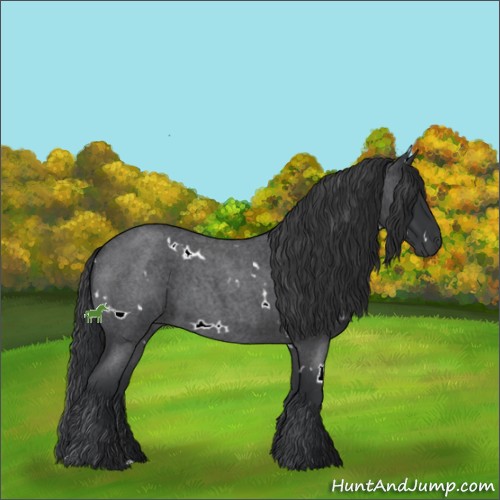 Horse Color:White Spotted Blue Roan 