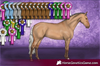 Horse Color:Silver Bay Dun