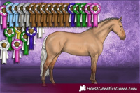 Horse Color:Silver Bay Dun
