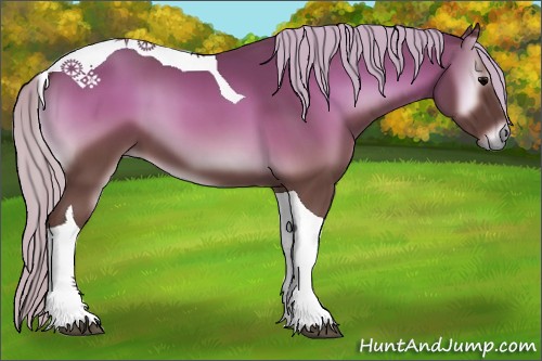 Horse Color:Silver Blue Onyx Tobiano 