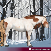 Horse Color:Chestnut  and Gold Champagne Roan 