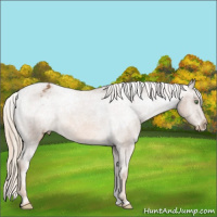 Horse Color:Chocolate Palomino Varnish 