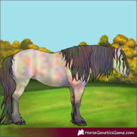 Horse Color:Nacre Bay Dun 
