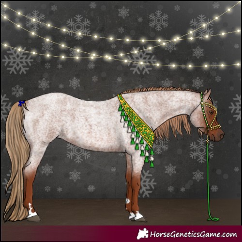 Horse Color:Red Roan 