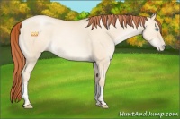 Horse Color:Sable Cream Champagne Pearl Dun Tobiano 