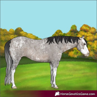 Horse Color:Brown Ice Roan Dun Splash 
