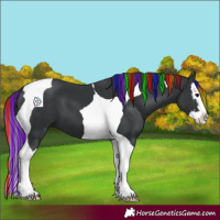 Horse Color:Painted Black Splash Tobiano 