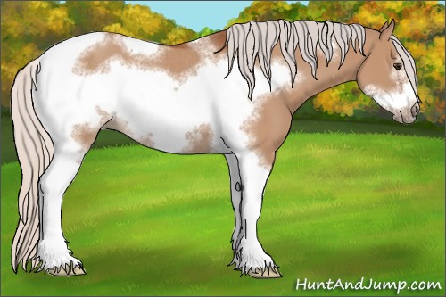 Horse Color:Silver Bay Dun Sabino Tobiano Frame Rabicano 