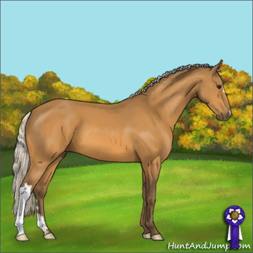 Horse Color:Silver Buckskin 