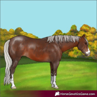 Horse Color:Silver Brown 