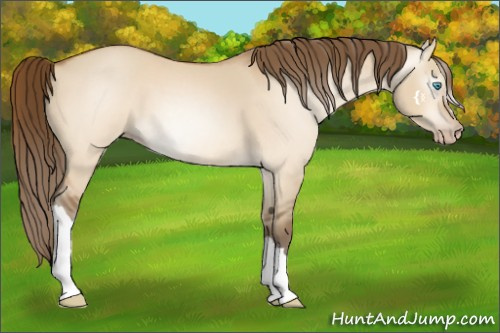 Horse Color:Gray Perlino Dun