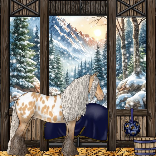 Horse Color:Silver Buckskin Dun Appaloosa 