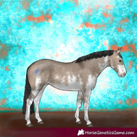Horse Color:White Spotted Brown Dun Sabino Rabicano