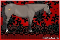 Horse Color:Grullo Sabino Rabicano 