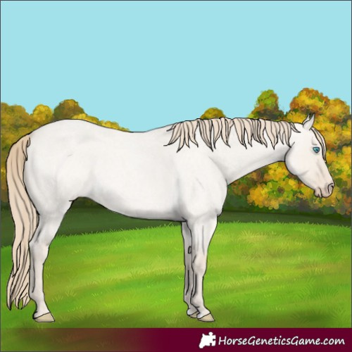 Horse Color:Smoky Creme Roan Dun 