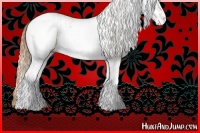 Horse Color:White Spotted Red Dun Rabicano  and White Spotted Gold Champagne Dun Rabicano 