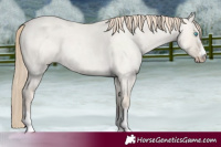 Horse Color:Smoky Creme Roan Dun 