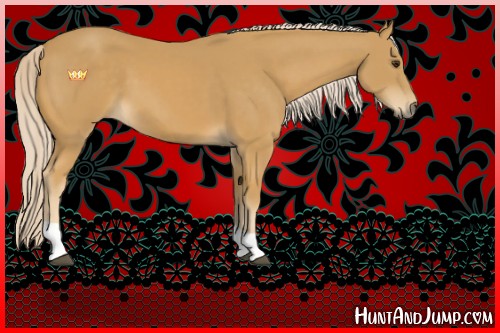 Horse Color:Palomino Tobiano