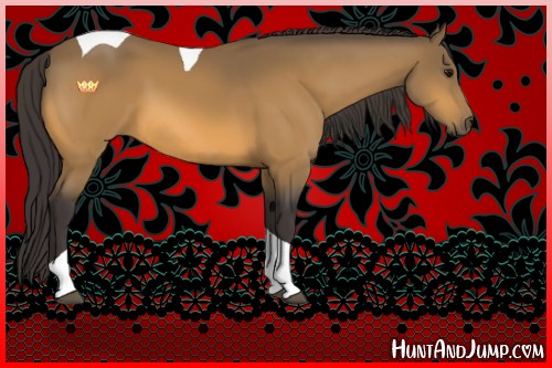 Horse Color:Buckskin Tobiano 