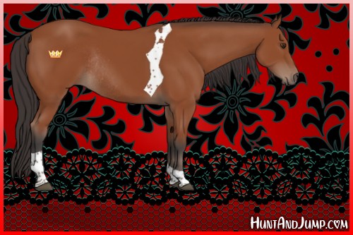 Horse Color:Bay Tobiano Rabicano