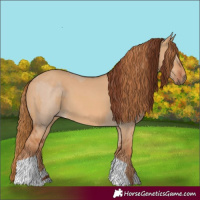Horse Color:Red Dun  and Red Dun 